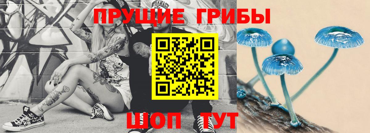 Псилоцибиновые грибы прущие грибы Валуйки
